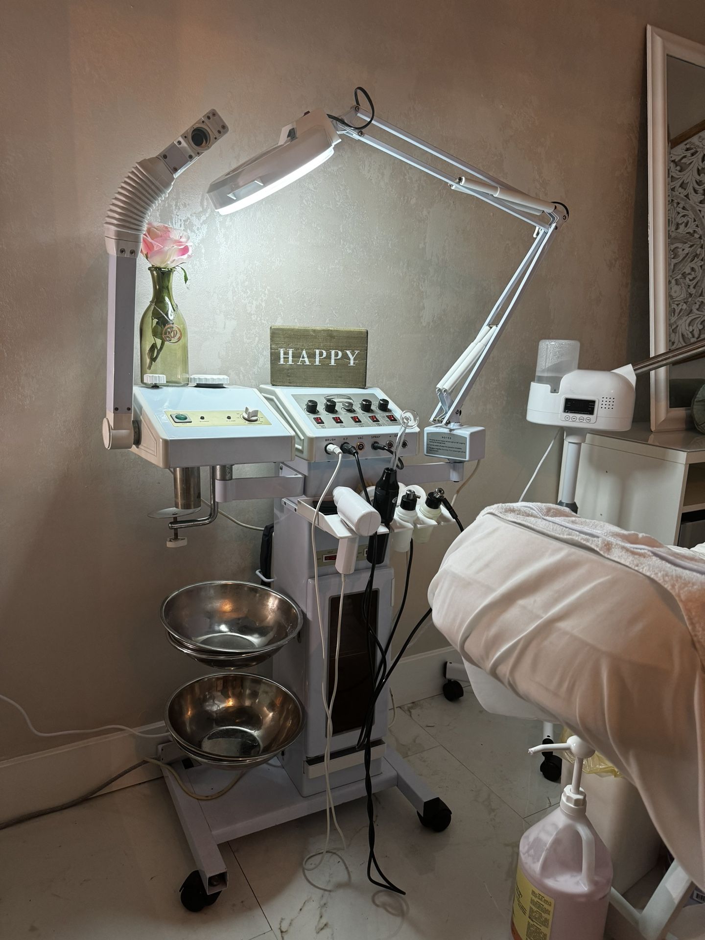 All In One Facial Machine
