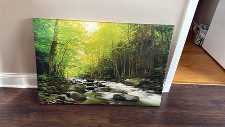 Forest Stream Nature Canvas Wall Art