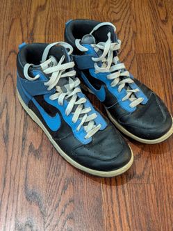 Nike Dunk High North Sz 11