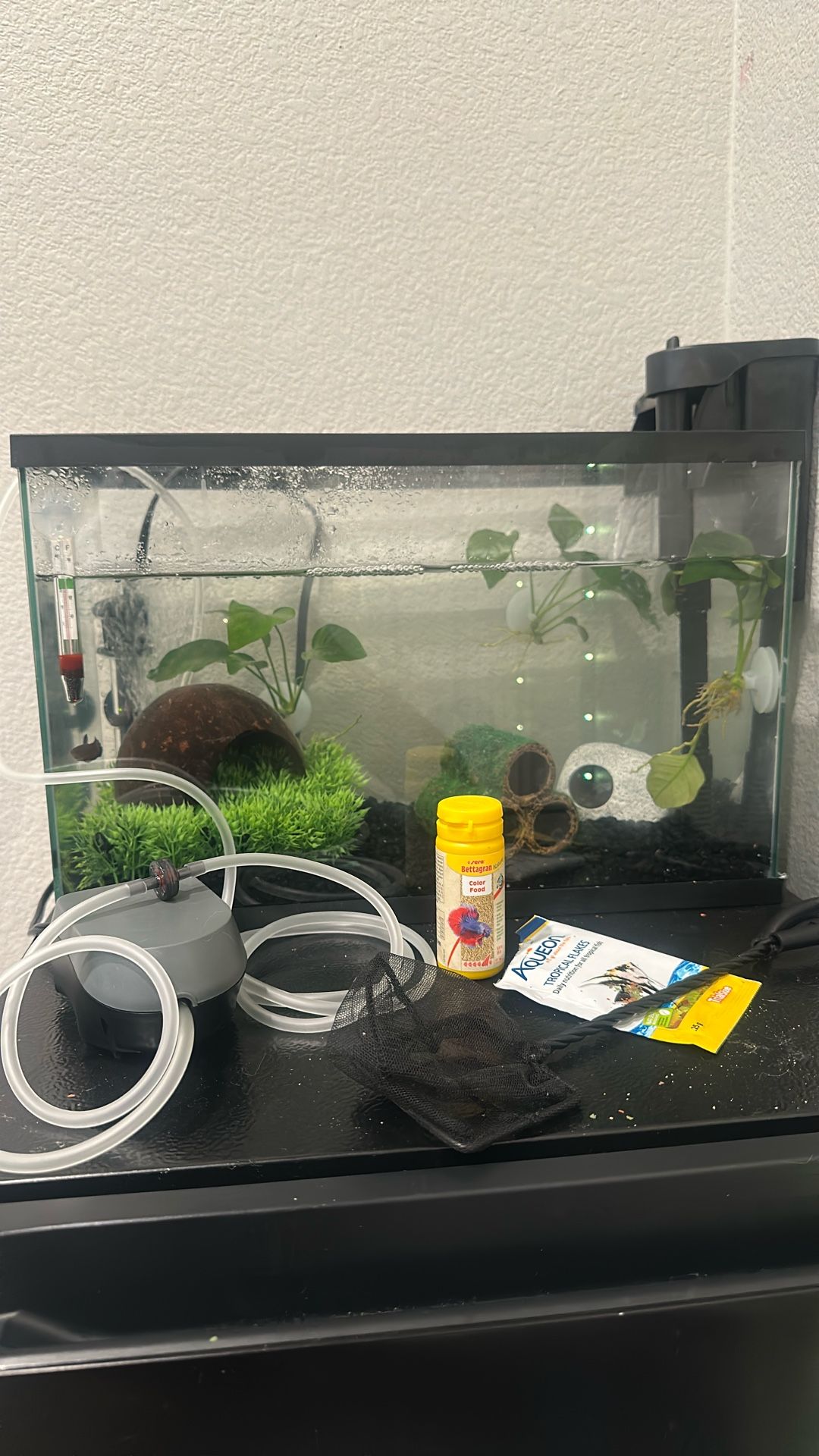 5.5 Gallon Fish Tank