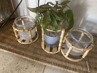 Set Of 3 Rattan Planters