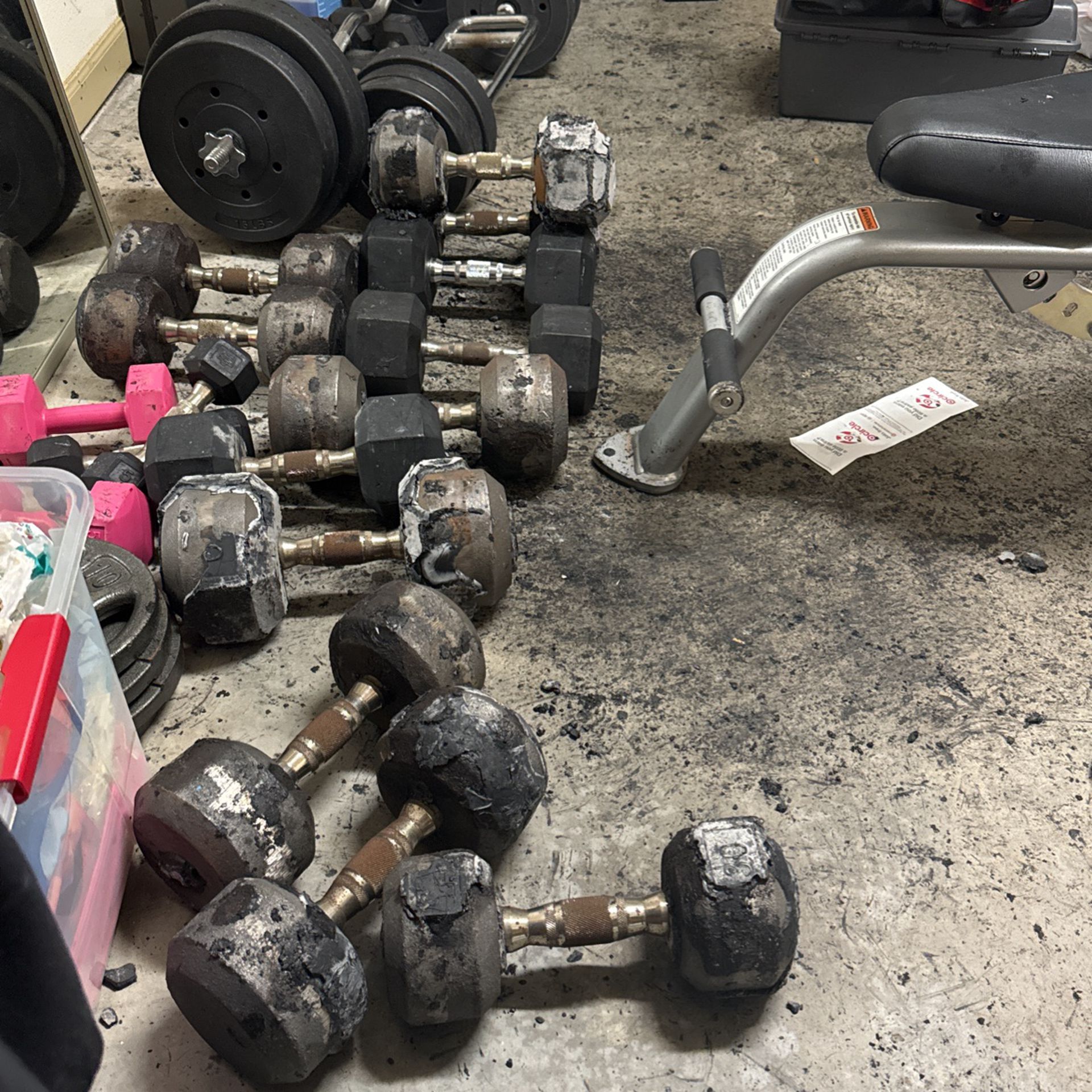 Dumbbells And Free Weight 