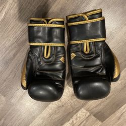 Must Thai Gloves, Shin Guards & Headgear