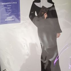 Standard Size Never Worn $25