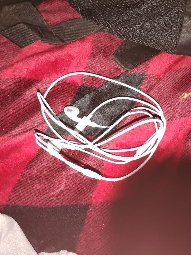 Apple Headphones