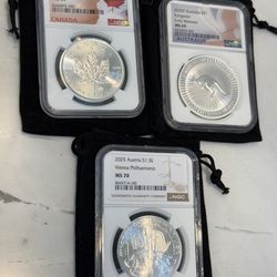 1 oz silver NGC graded