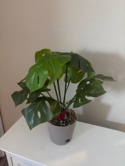 Planta artificial