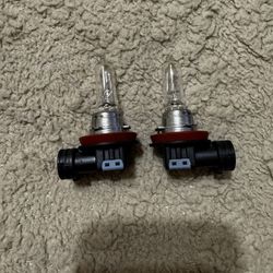 2021 Toyota Tacoma Headlight Bulb 