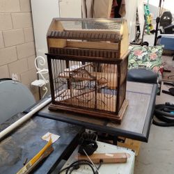 Bird Cage