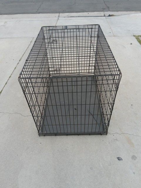 XL Dog 🐈‍⬛ Crate 