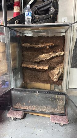 Reptile cage for sale with custom background