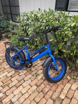 Blue Pedego Electric Bike – Used