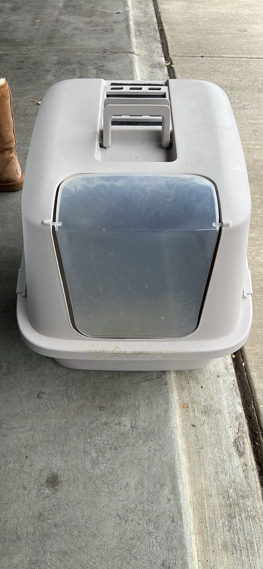Cat Litter 