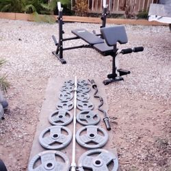 255lbs Olympic Weights+ 2 Bars+ Olympic Bench
