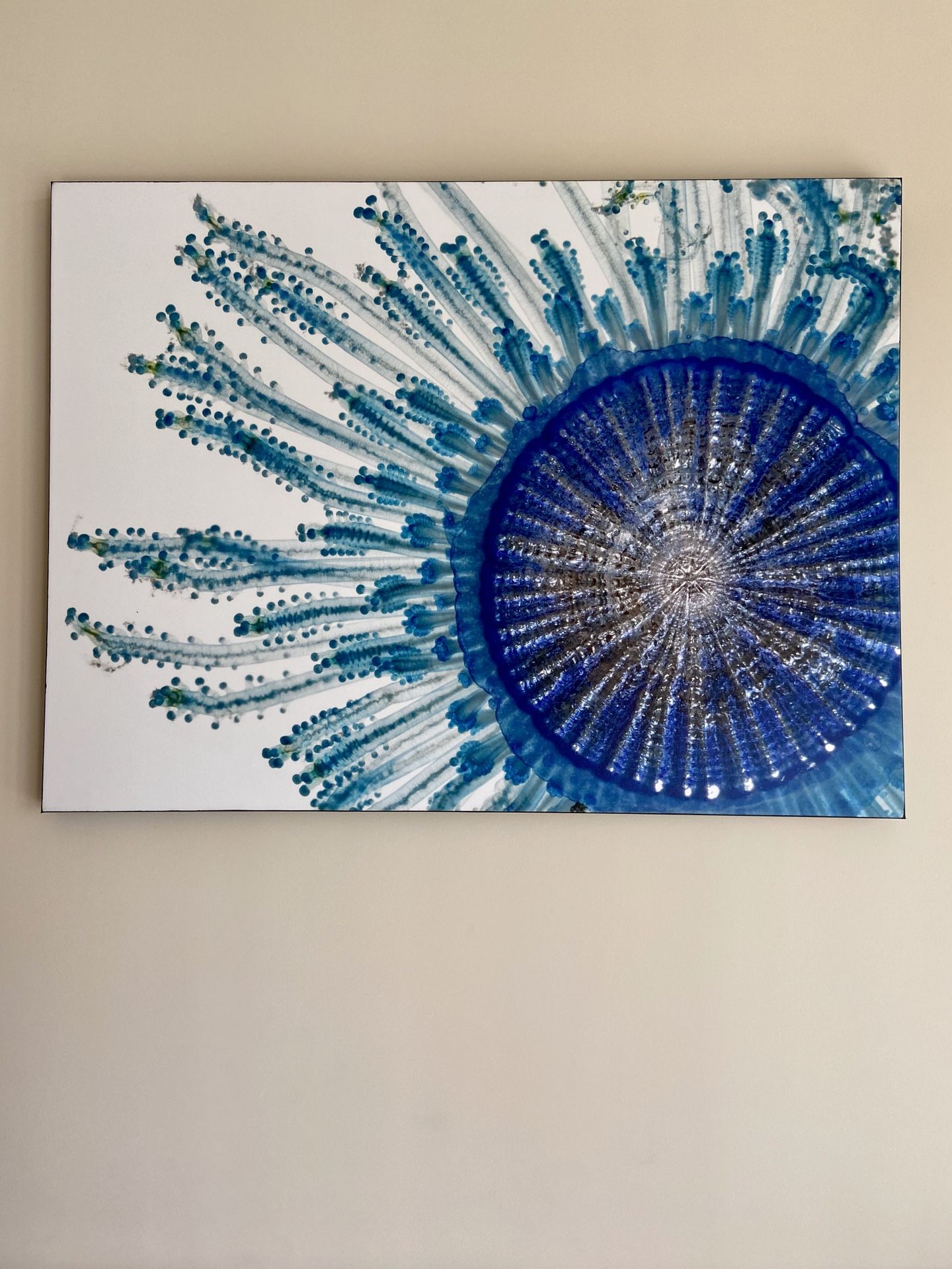 Jellyfish Pigment - canvas print painting