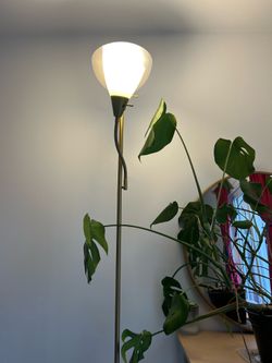 Gold Floor Lamp