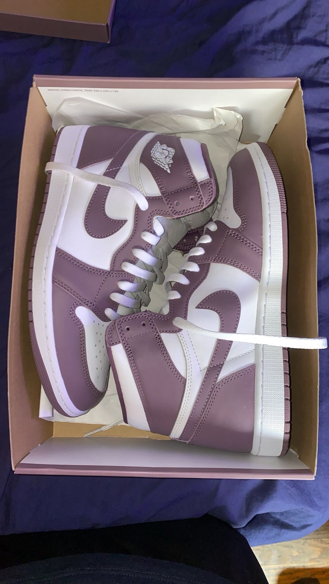 Jordan 1 High Size 10