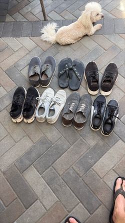 Free shoes. Must take all. Size 10