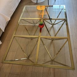 Modani Glass and metal coffee table