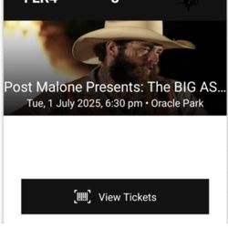 Post Malone (Floor Level!)