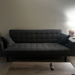 Medium Size Couch 