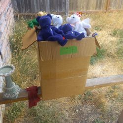 All Bear Beanie Babie Lot