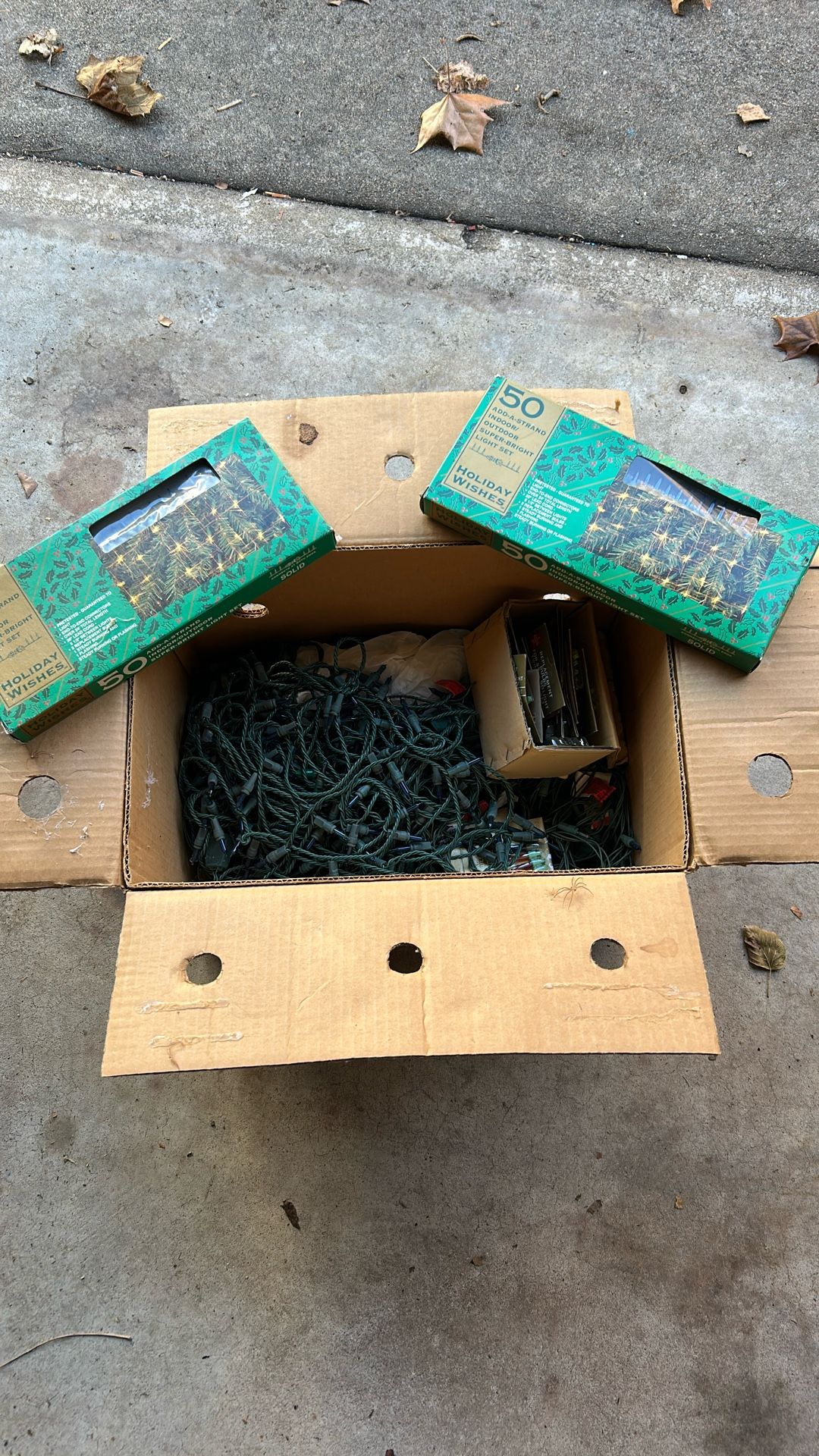Box Of Xmas Lights