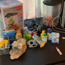 Betta Fish Tank 