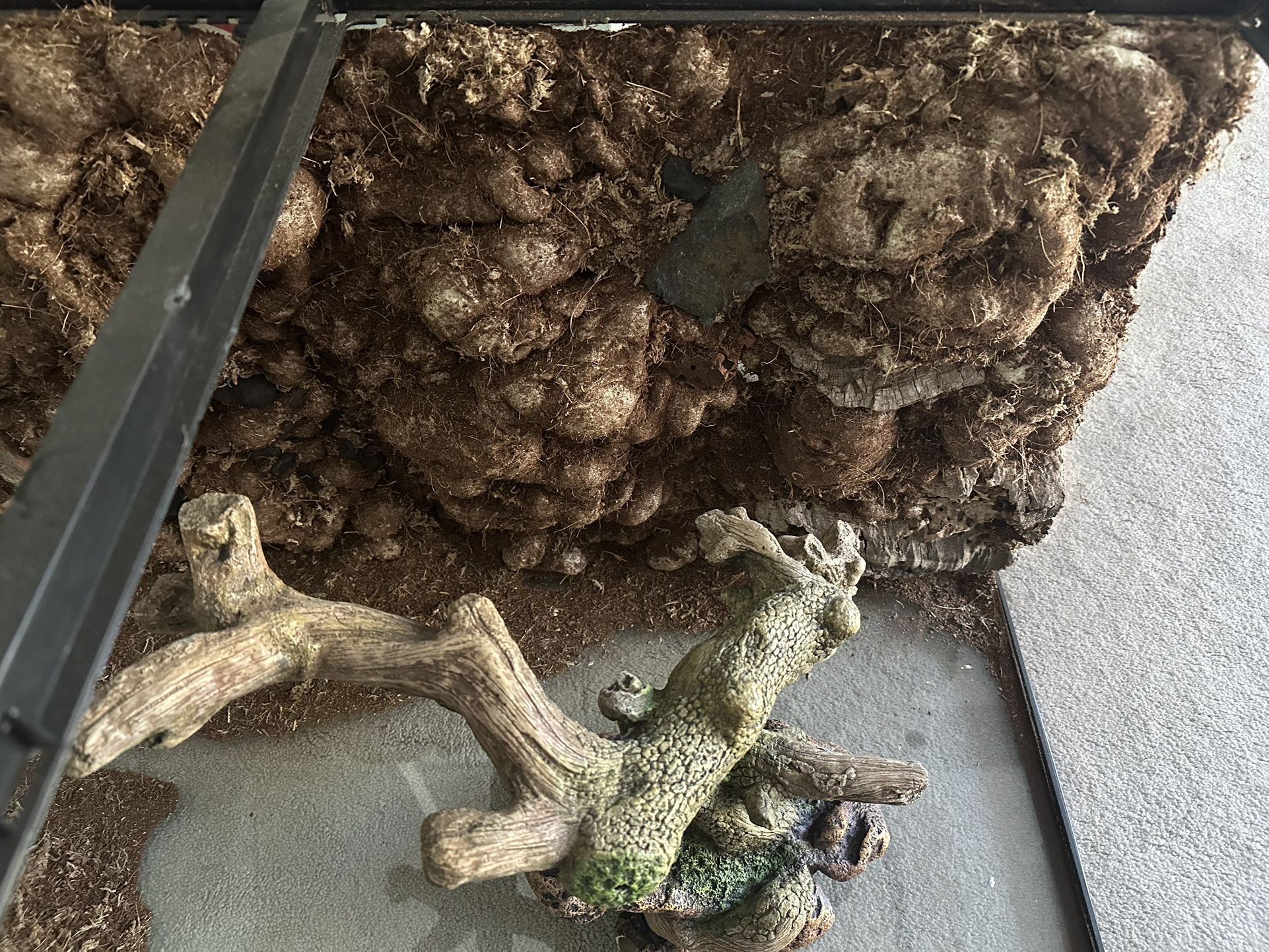 40 Gallon Reptile Tank