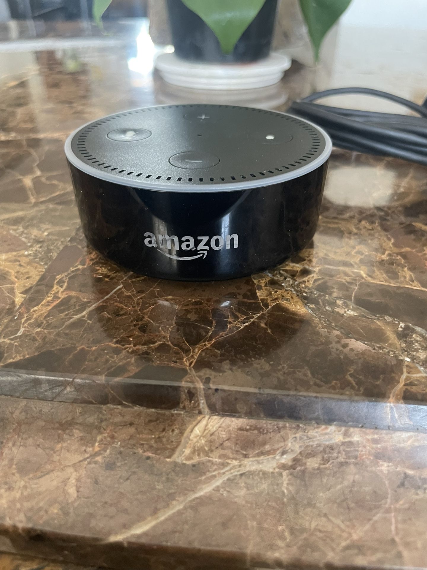 Echo Dot