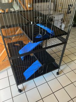 Ferret, Chinchilla, Rat Cage