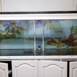 250+ Gallon Fish Tank