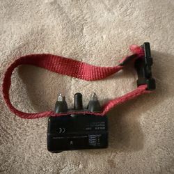 Dog Shock Collar