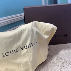 LOUIS VUITTON shoulder bag