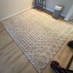 Surya 8x10 Moroccan Shag Area Rug – Cream / Beige (7'10" x 10'3")