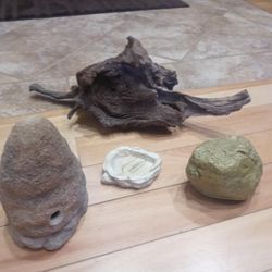 Various Reptile Items!