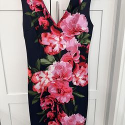 Women’s Size 10 Dress 