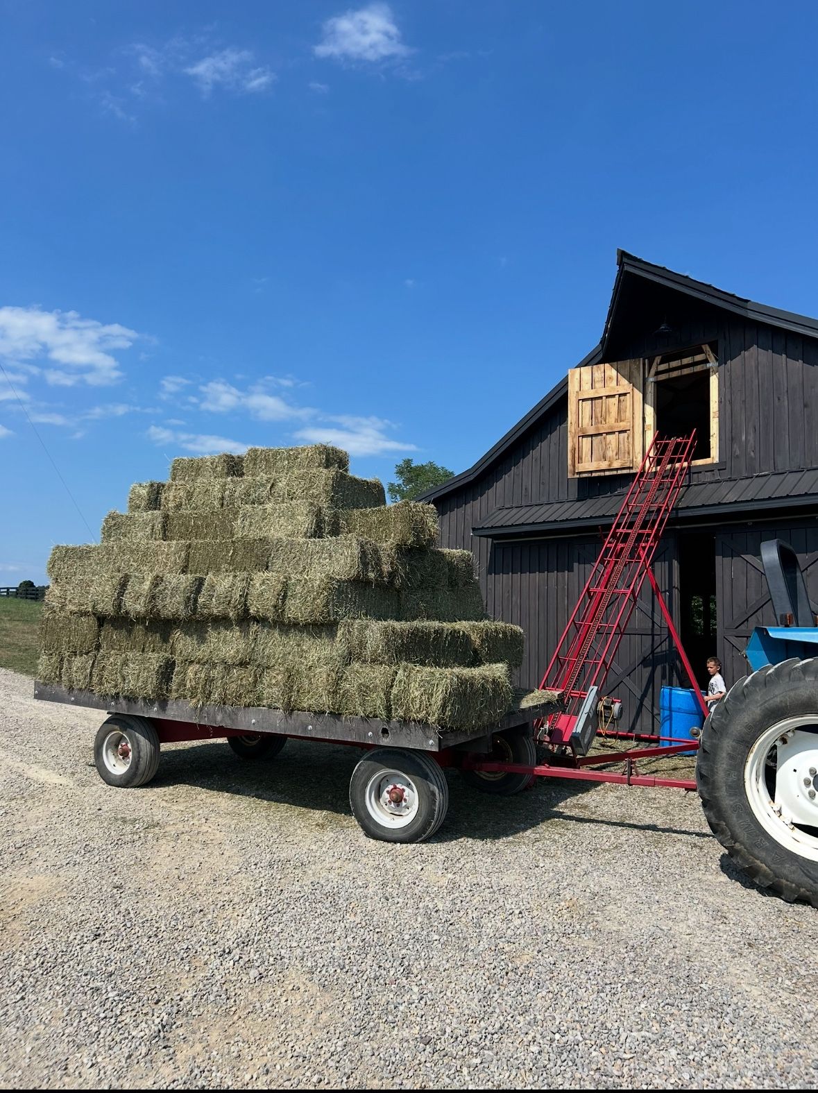 HAY