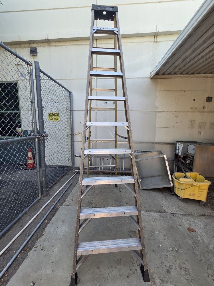 Werner Step Ladder