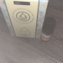 Brand new small diffuser with bottle of ginger bread sent it oil