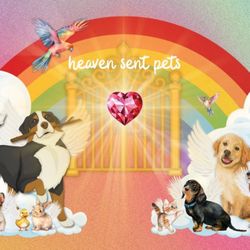 NEW BUSINESS ALERT- Heaven Sent Pets