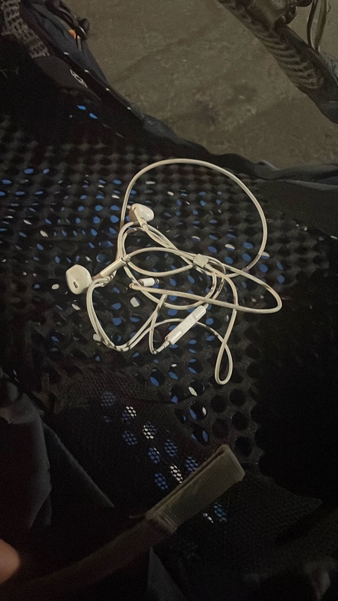 Apple Earbuds