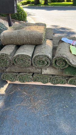 Bermuda sod for sale - need to sell today.