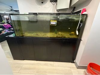 Aqua Japan fish tank 72”x30”x24