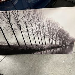 Tree Canvas Wall Art