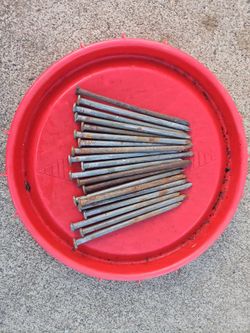 Large Steel Nails Lot