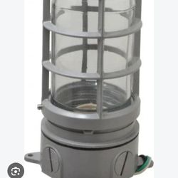 Light Fixture