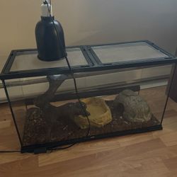 Ball Python Snake With Set Up