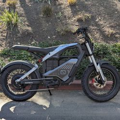 Segway xyber dual battery