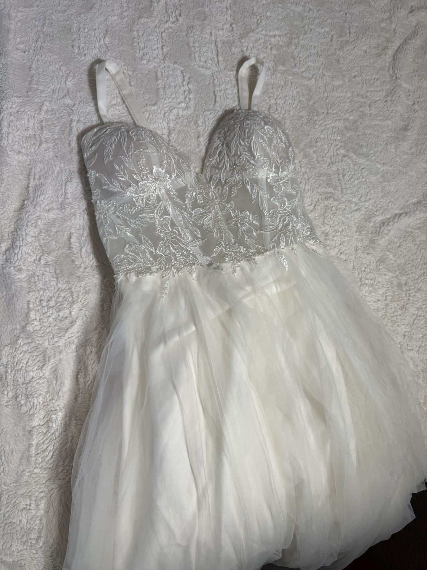 Dress And Tiara From David’s Bridal